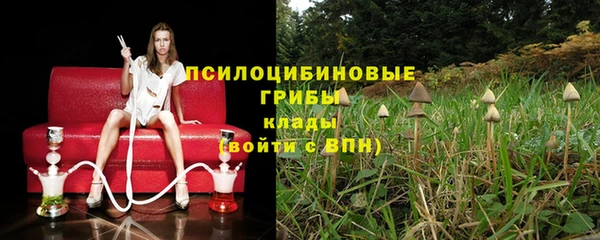 МДПВ Дмитриев